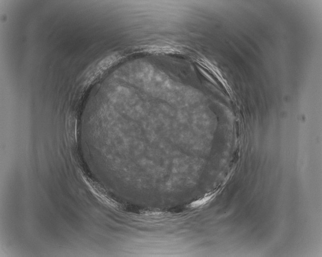 X0000081610205200702051402