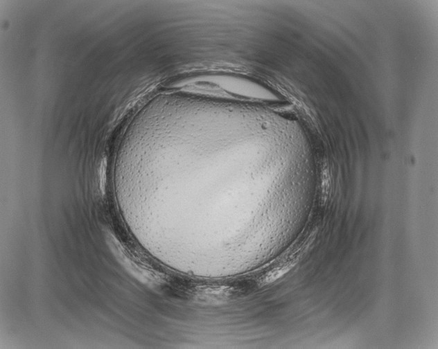 X0000081610206200702051402