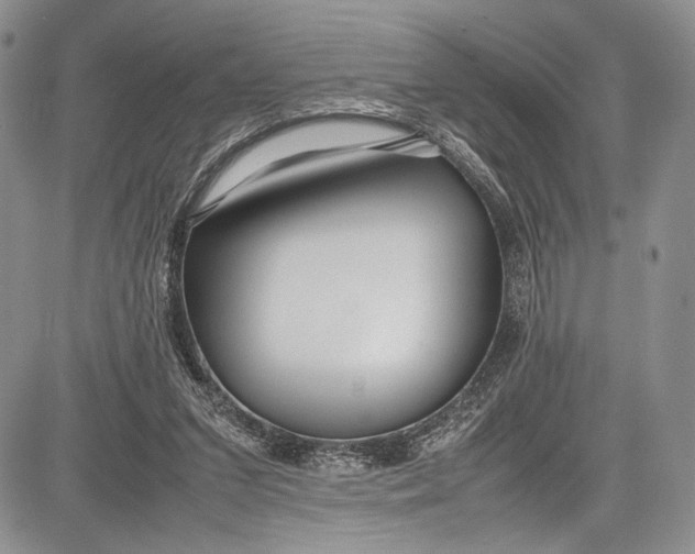 X0000081610207200702051402