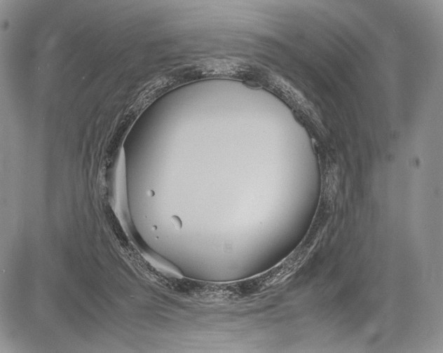 X0000081610209200702051402