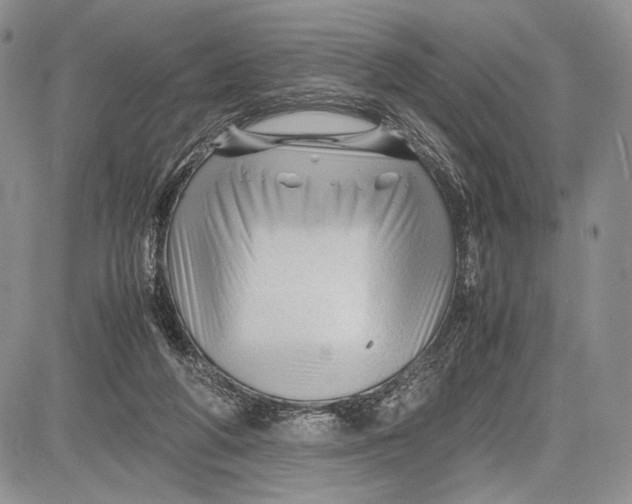 X0000081610210200702051402