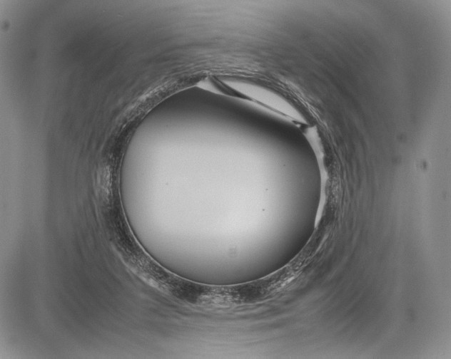 X0000081610211200702051402