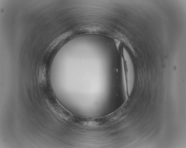 X0000081610212200702051402