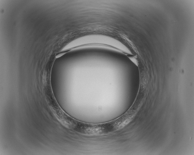 X0000081610213200702051402