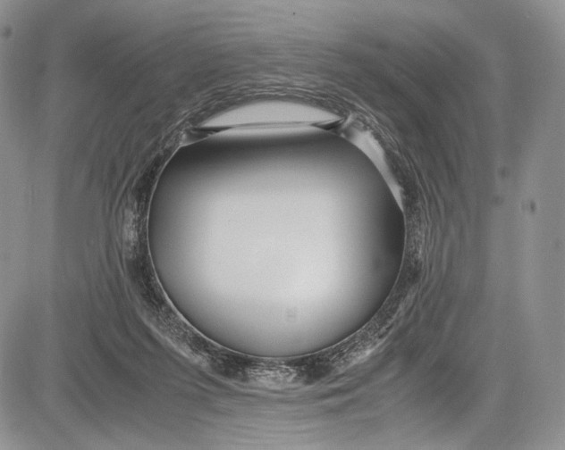 X0000081610215200702051402