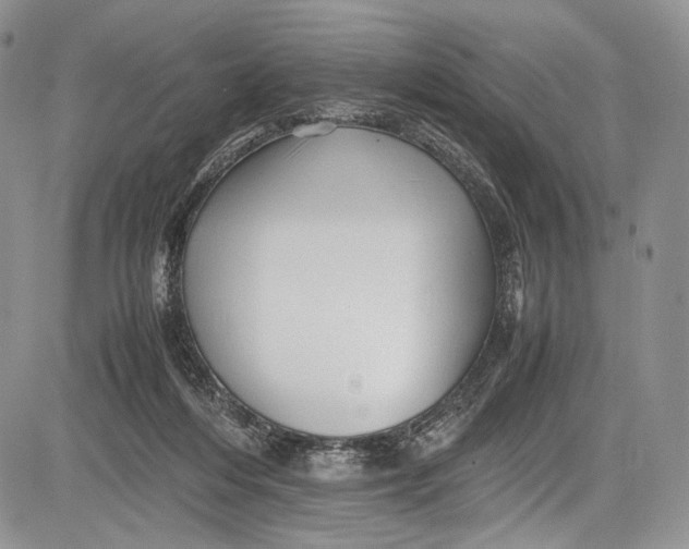 X0000081610216200702051402