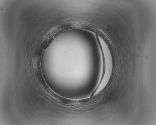 X0000081610217200702051402