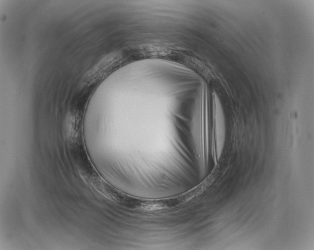 X0000081610218200702051402