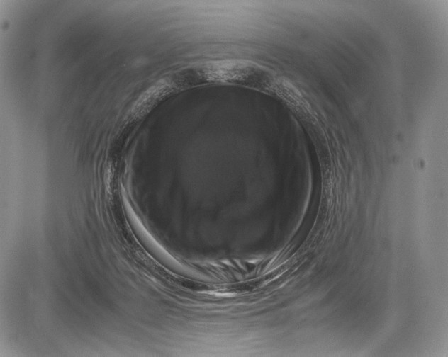 X0000081610219200702051402