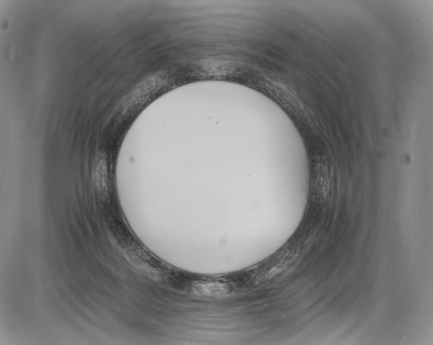 X0000081610220200702051402