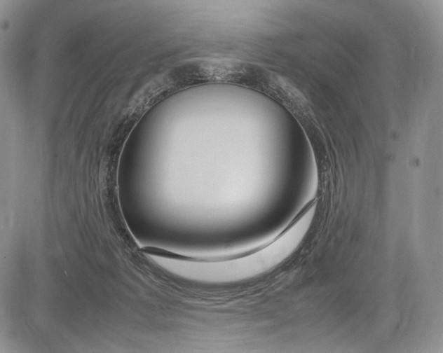 X0000081610221200702051402