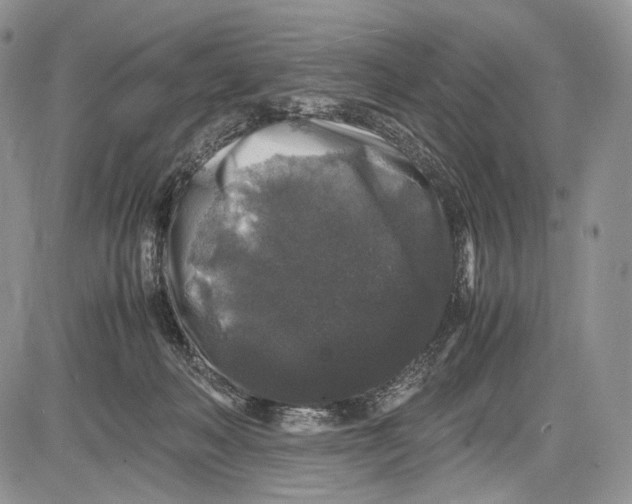 X0000081610222200702051402