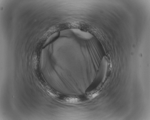 X0000081610223200702051402