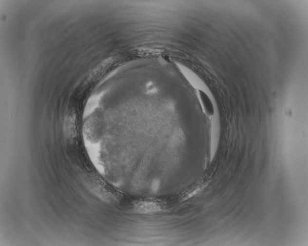 X0000081610224200702051402