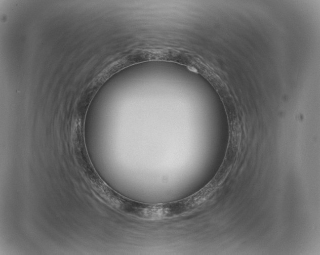 X0000081610225200702051402