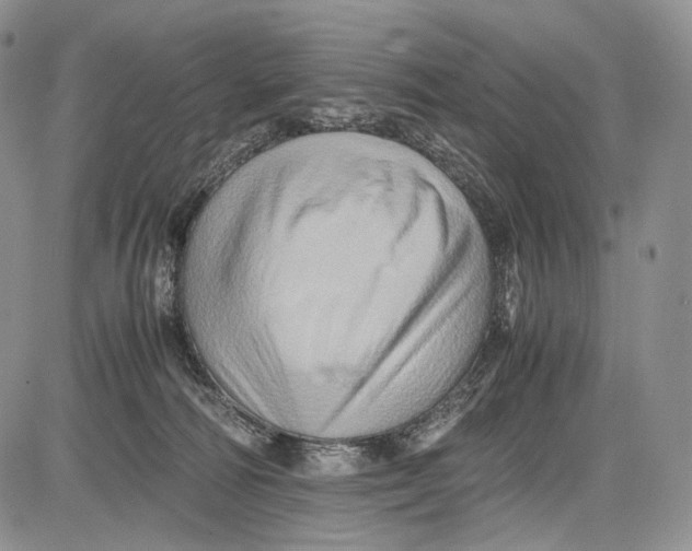 X0000081610226200702051402