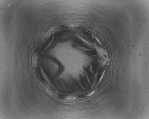 X0000081610227200702051402