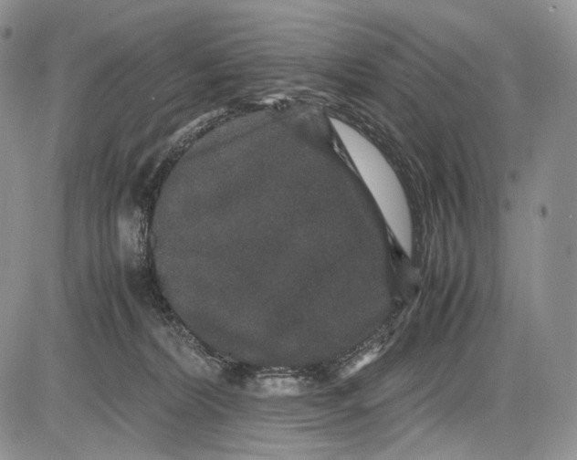 X0000081610228200702051402