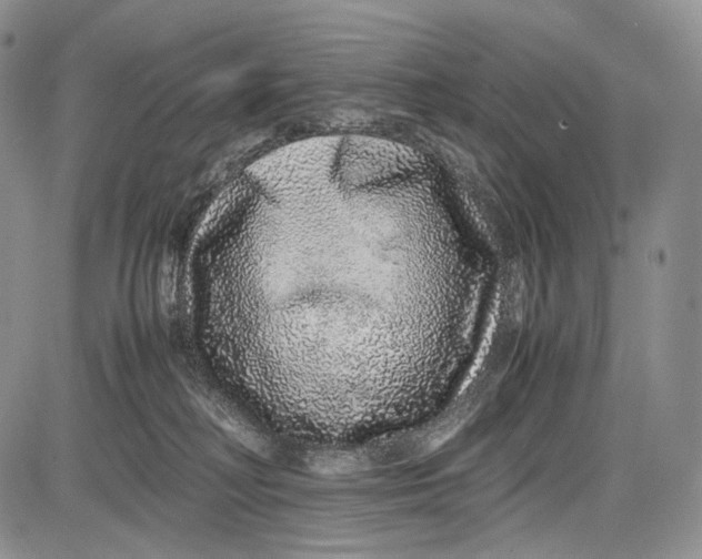 X0000081610230200702051402