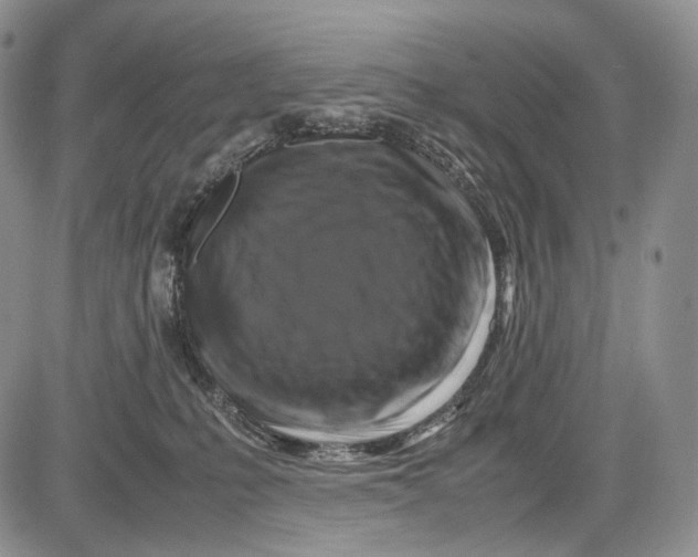 X0000081610231200702051402