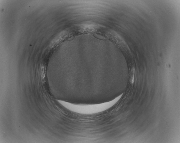 X0000081610232200702051402