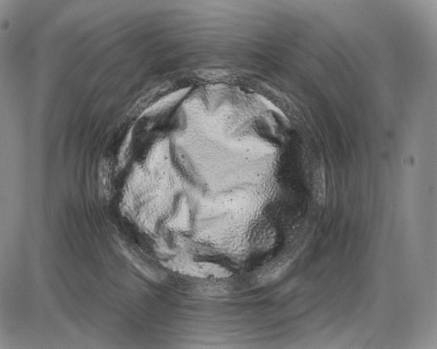 X0000081610234200702051402