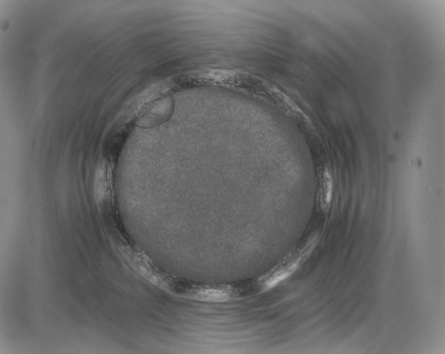 X0000081610236200702051402