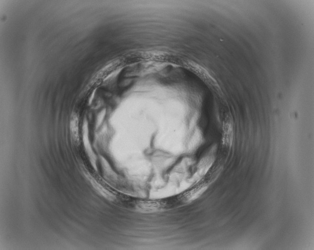 X0000081610238200702051402