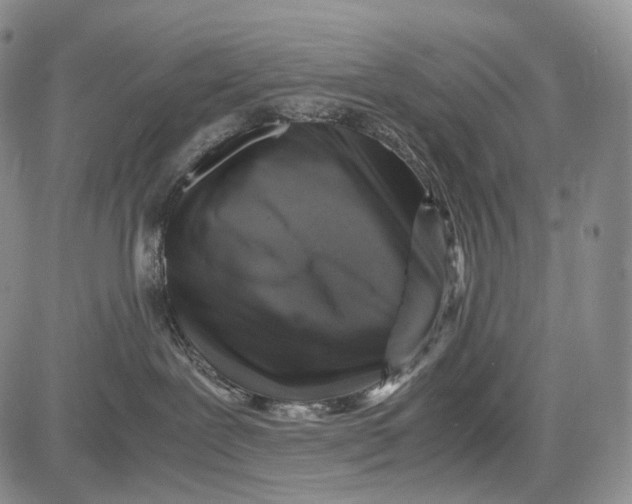 X0000081610239200702051402