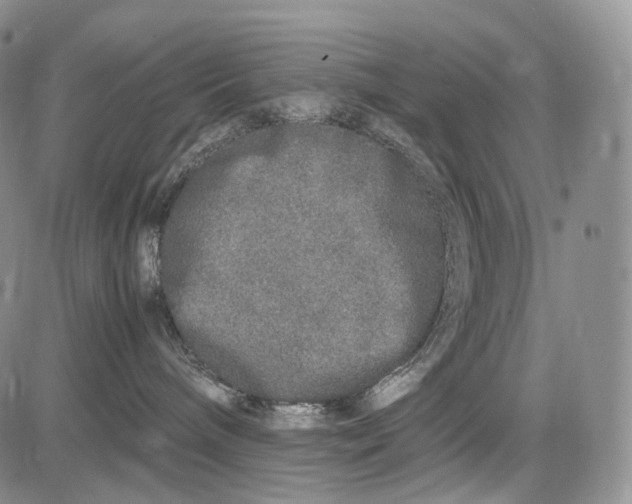 X0000081610240200702051402