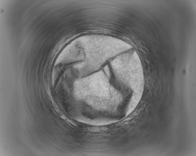 X0000081610241200702051401