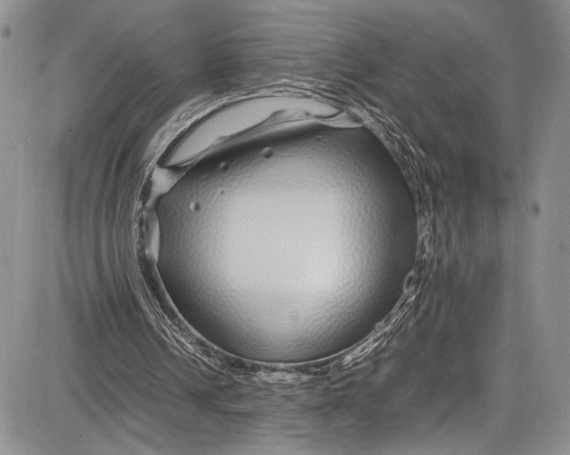 X0000081610242200702051401