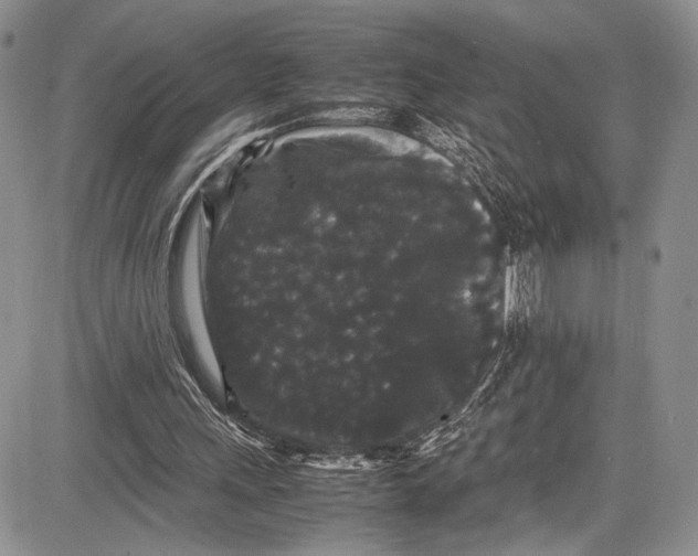 X0000081610243200702051401