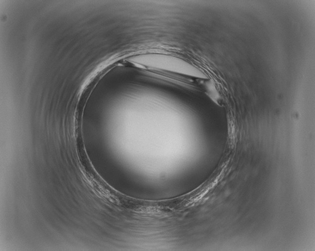 X0000081610244200702051401