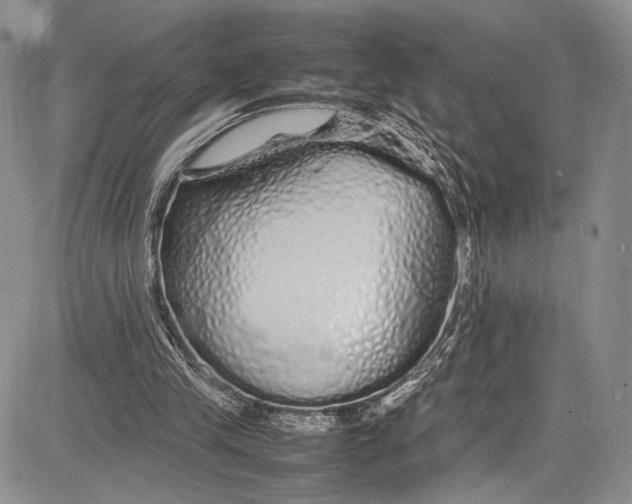 X0000081610245200702051401