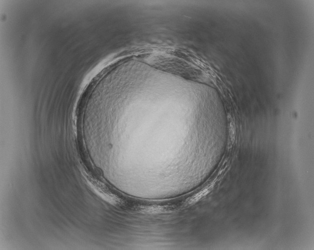 X0000081610246200702051401