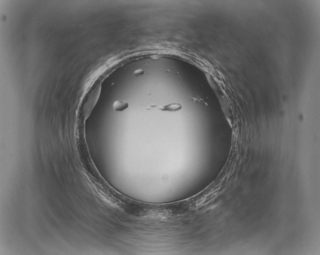 X0000081610248200702051401