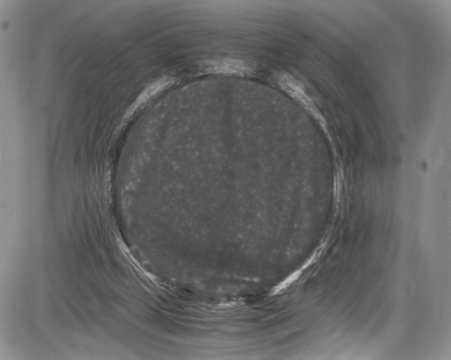 X0000081610249200702051401