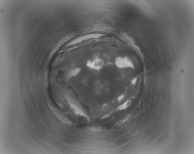 X0000081610250200702051401