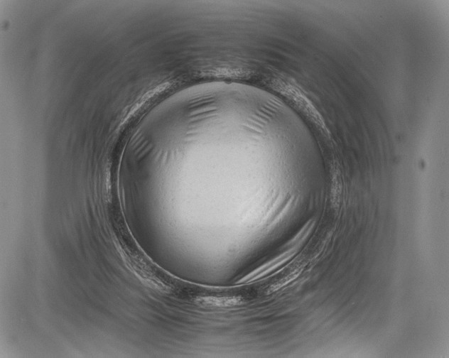 X0000081610251200702051401