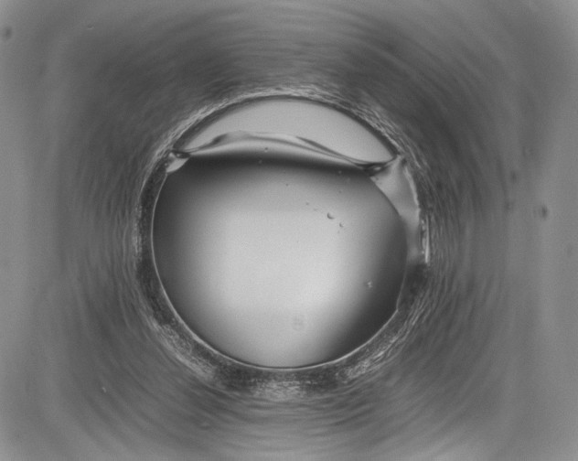 X0000081610252200702051401