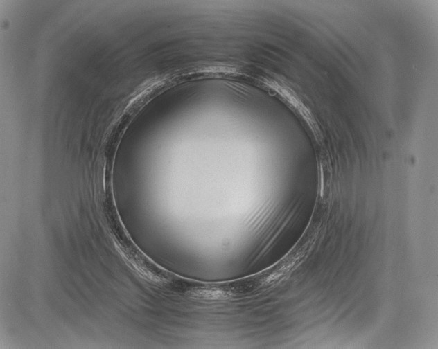 X0000081610253200702051401