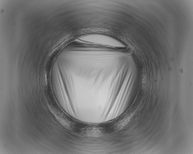 X0000081610254200702051401