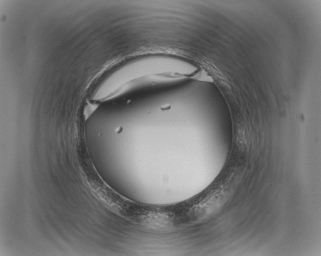 X0000081610256200702051401