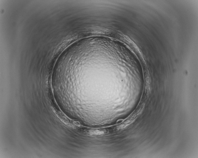 X0000081610257200702051401