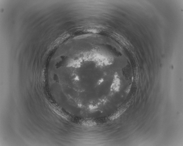 X0000081610258200702051401