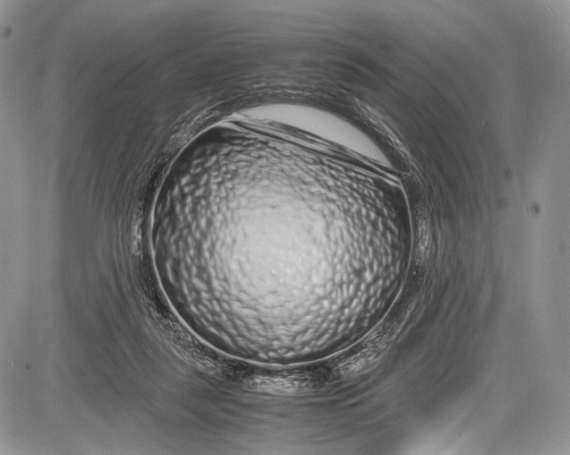 X0000081610259200702051401