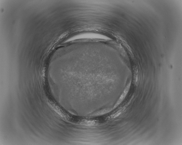 X0000081610260200702051401