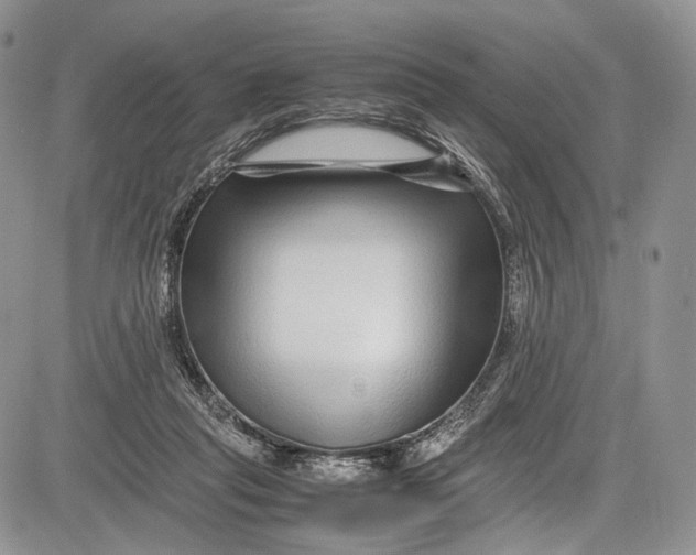 X0000081610261200702051401