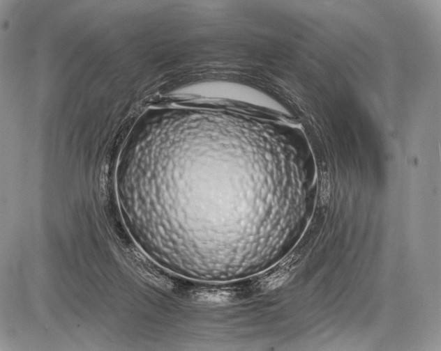 X0000081610263200702051401